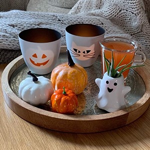 Pots chats et Citrouille Partylite Halloween